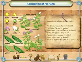 Game screenshot Gregor Mendel apk