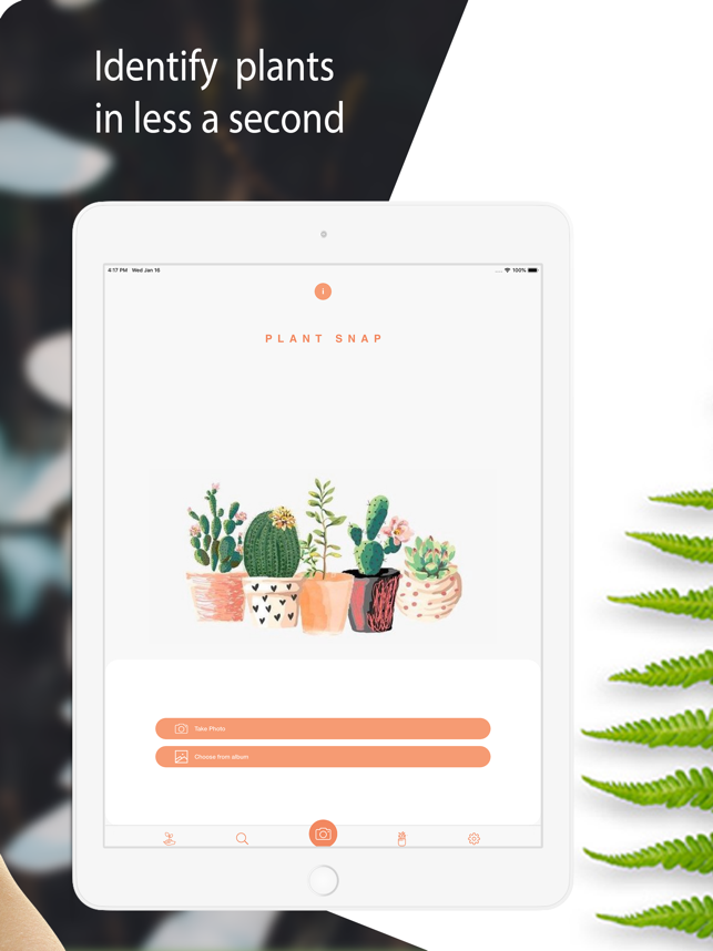 ‎PlantDetect - Plant Identifier Screenshot