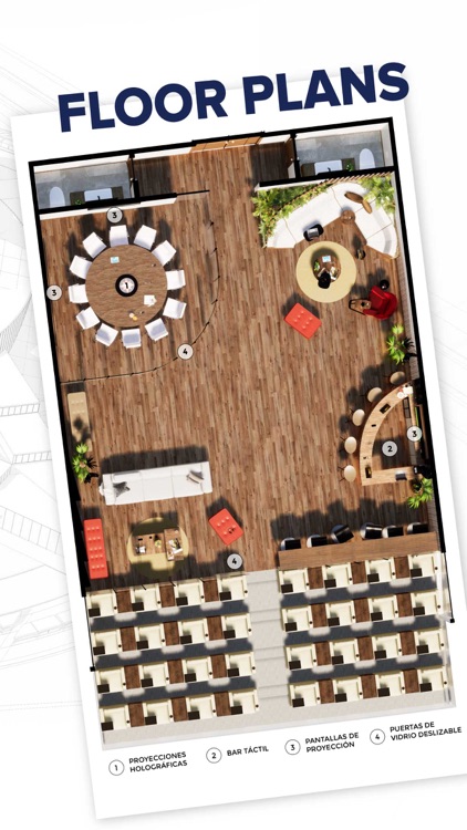 Compass Rose Barranquilla