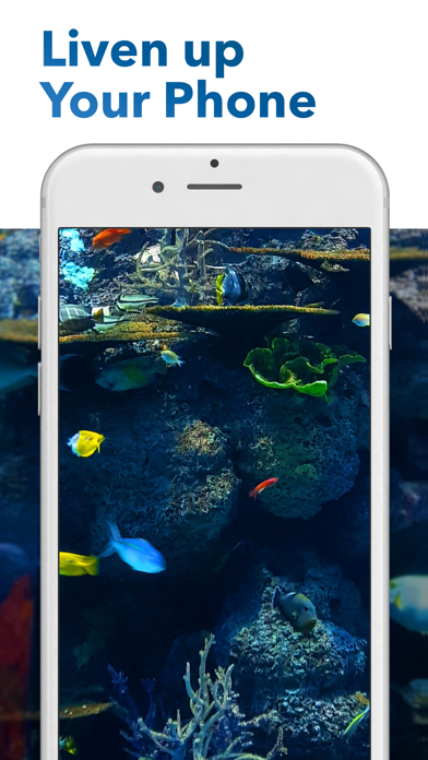 Aquarium Dynamic Wallpaper 4Kのおすすめ画像3