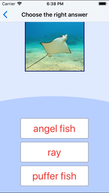 Sea Animals. Learning Cards screenshot-4