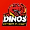 The official University of Calgary Athletics app is a must-have for fans headed to campus or following the Dinos from afar