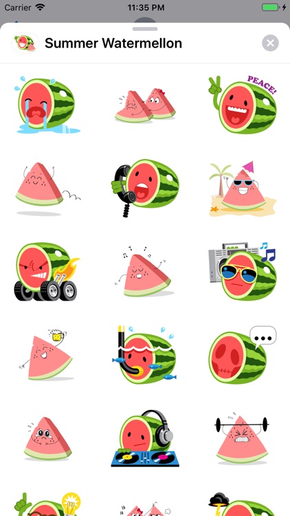 Summer Watermelon - Animated