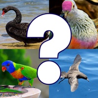 Bird Quiz - Birds of Australia pour PC