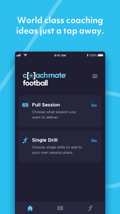 Coachmate