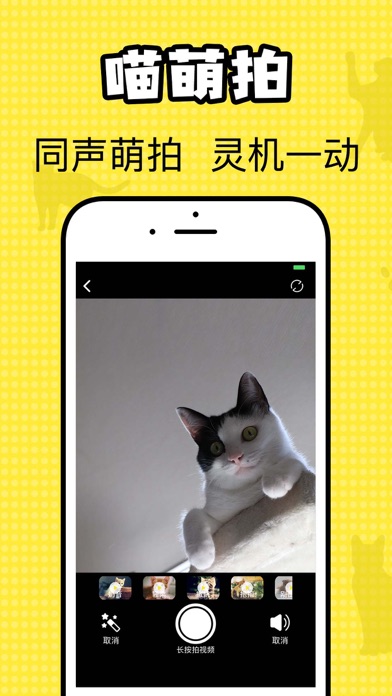 猫咪翻译官-猫与人的交流器 screenshot 3