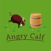 Angry Calf