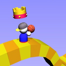 Rolly Basket 3D