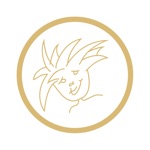 Adesso Hair Design