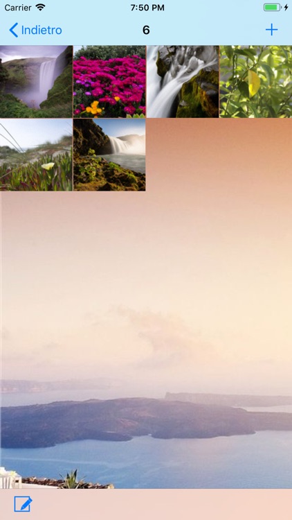 la protezione della password P