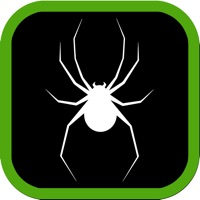 Spiders Guide for Watch pour PC