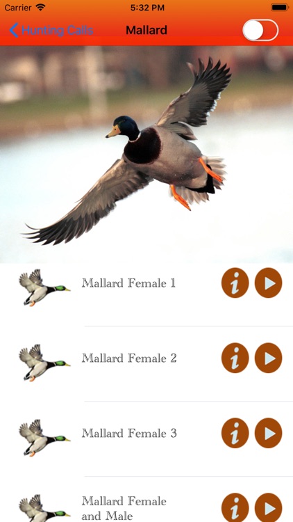 Duck Hunting Calls - screenshot-3