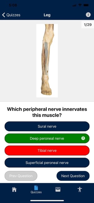 UBC Human Anatomy Teaching App(圖4)-速報App