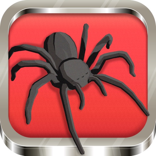 Spider Solitaire Classic Cards Icon