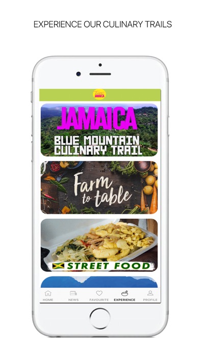 Taste Jamaica Now screenshot 4