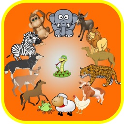 Sound Flash Cards of Animals