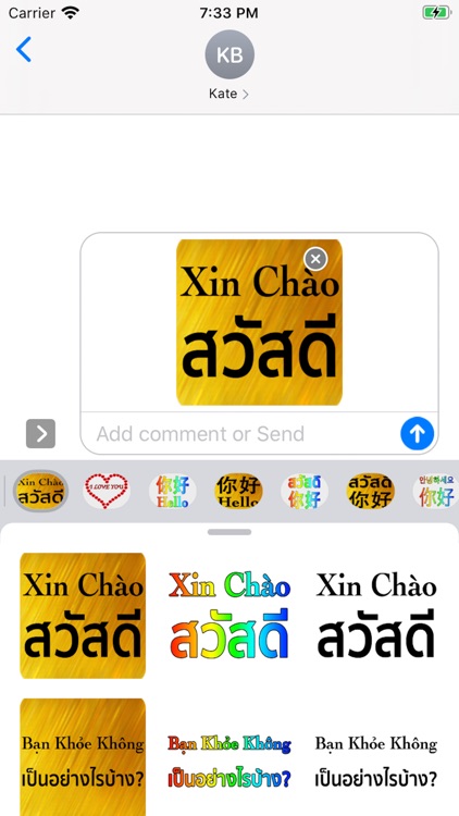 Vietnamese Thai