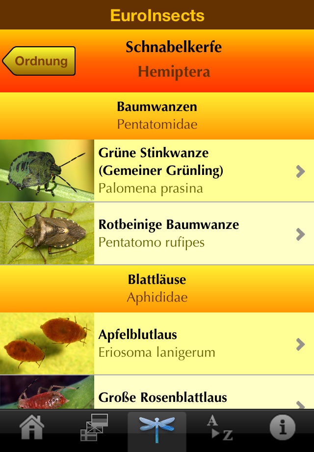 EuroInsects screenshot 2