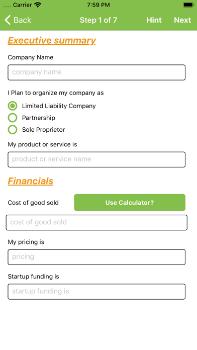 Startup plan screenshot 2