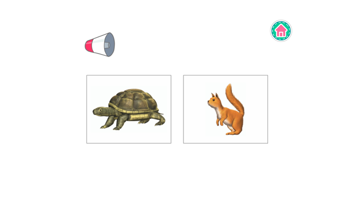 PicDic - Animals Eng-Chinese