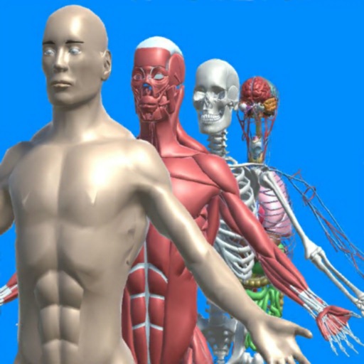 Human anatomy system & parts iOS App