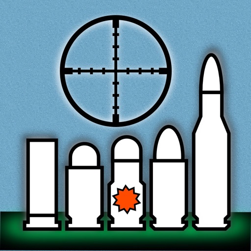 Ammunition Inventory Logbook