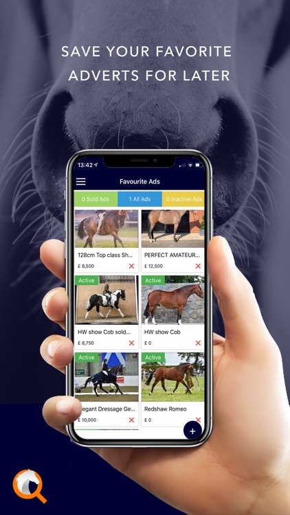 Equestrian Marketplace screenshot-3