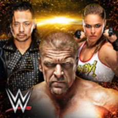 Activities of WWE Universe
