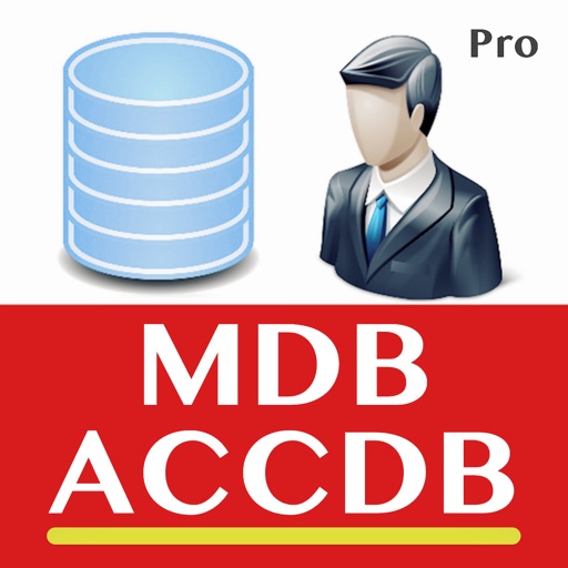 Editor for MS Access Database