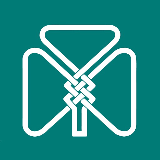 The Ireland Funds Conference19