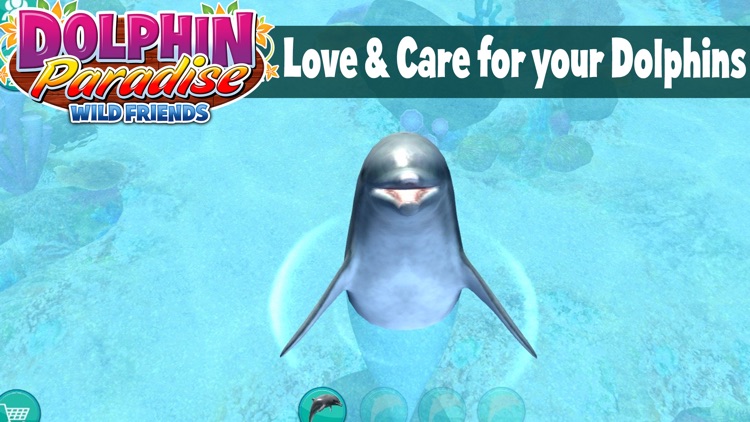 Dolphin Paradise: Wild Friends