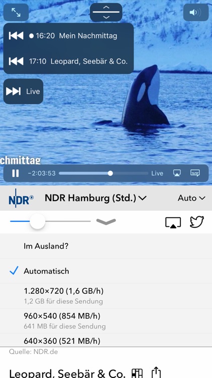 Live TV - Fernsehen