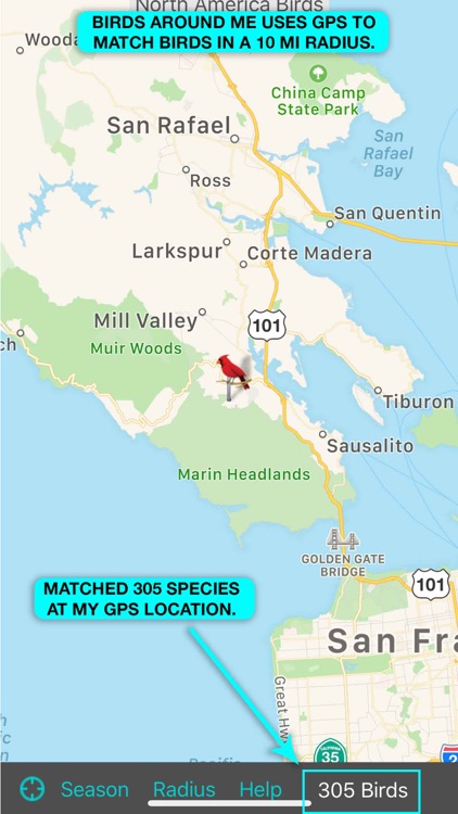iBird Ultimate Guide to Birds screenshot-4