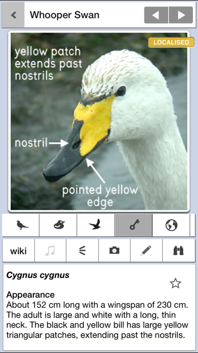 Birds of Britain Pro screenshot 3