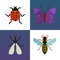 This is an application about insects