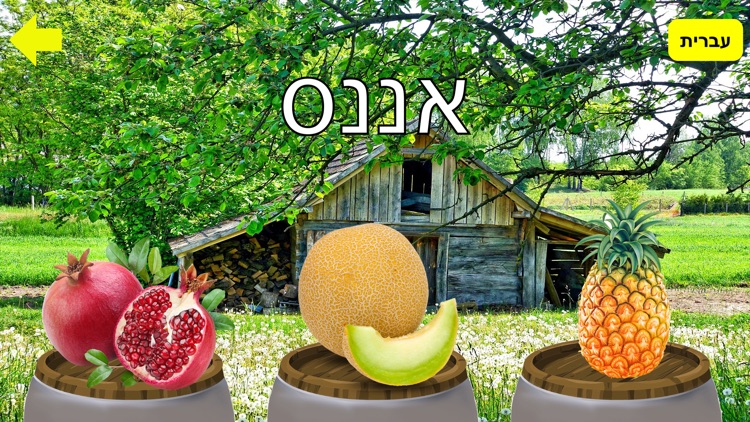 פירות ולומדים