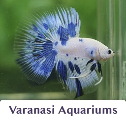 Varanasi Aquariums