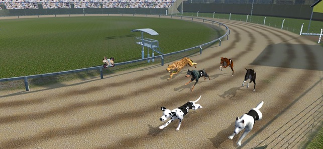 Crazy Dog Racing(圖3)-速報App