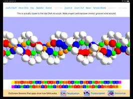 Game screenshot OnScreen DNA Model apk