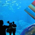 Top 20 Photo & Video Apps Like Aquarium Videos - Best Alternatives