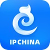 Intellectual Property China