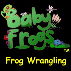 Activities of Baby Frogs - Frog Wrangling