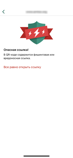 ‎Kaspersky QR Scanner Screenshot