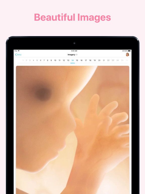 Pregnancy + | Tracker App Ipad images