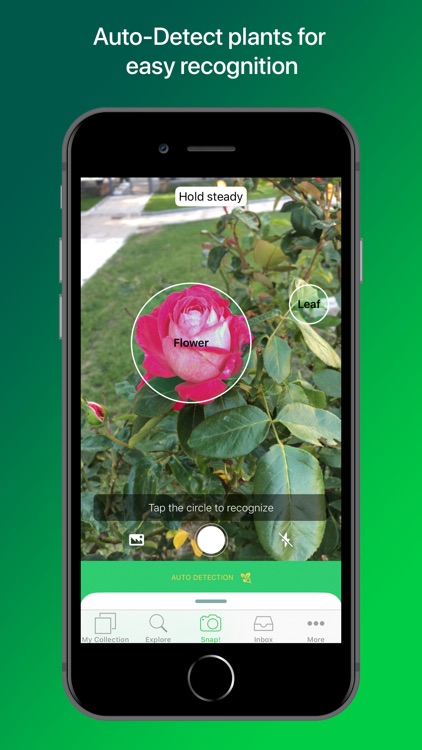 PlantSnap Pro: Identify Plants