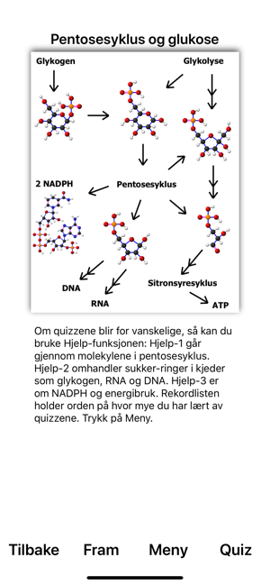 Pentosesyklus