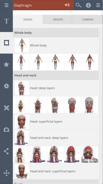 Whole body: 3D real-time screenshot 2