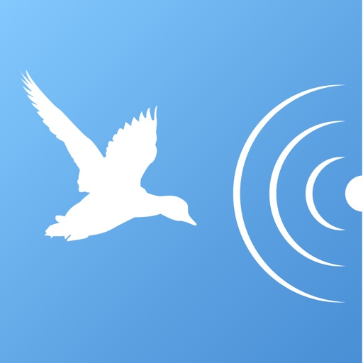 iDecoy for bird iOS App