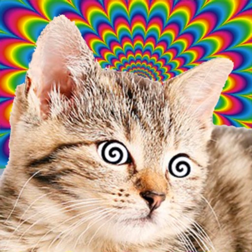 Cat Hypnosis Simulator Download