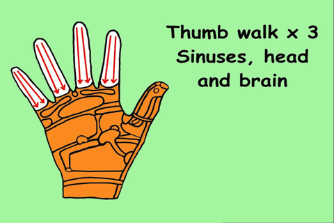 Treat Your Hands - Reflexology - náhled